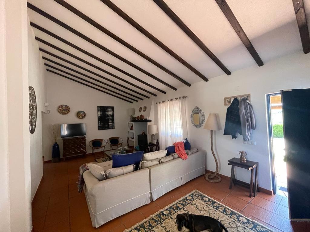 Casa Das Oliveiras Авіш Екстер'єр фото